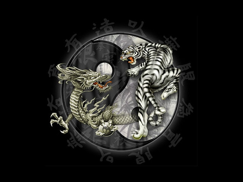 YIN AND YANG MEANING