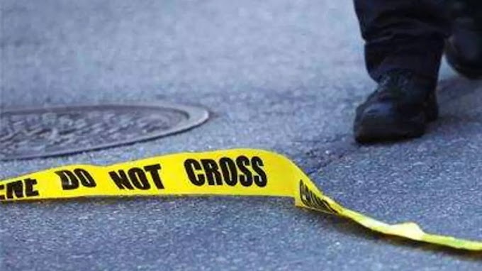 6 dead after truck hit community barbecue: Dutch police