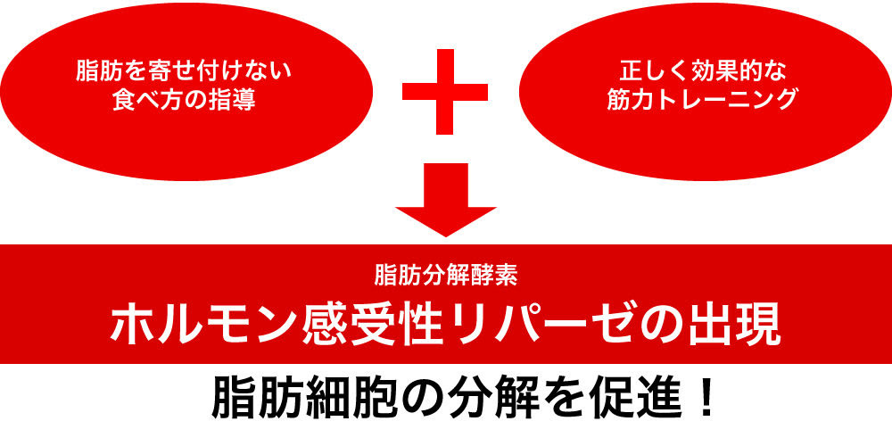 最新デザインの Laisse Passe レッセパッセ のワンピース オーバーシフォンドレス お呼ばれワンピース ワンピース Passe オーバーシフォンドレス セール お呼ばれワンピース をセール価格で購入できます Laisse Passe