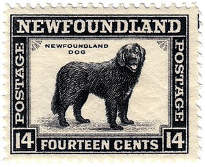 Newfoundland Dog Stamp Category:Newfoundland a...