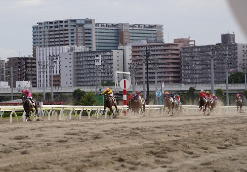 南関魂 高橋華代子の南関東競馬ブログ