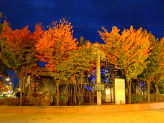 DSCF6031.jpg