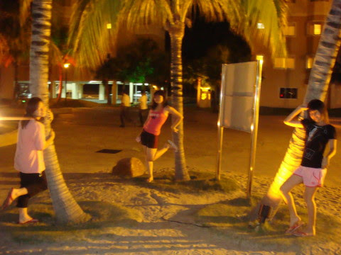 DSC01310