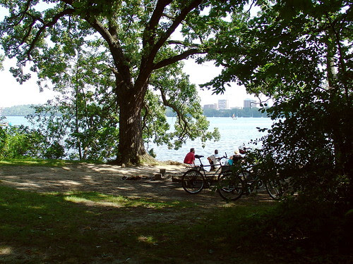 Picnic Point