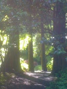 The Importance Of The Va Advantage