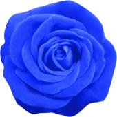 花イラスト無料素材 バラの花の無料イラスト素材