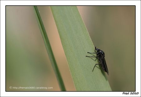 IMG_1839_sign_e