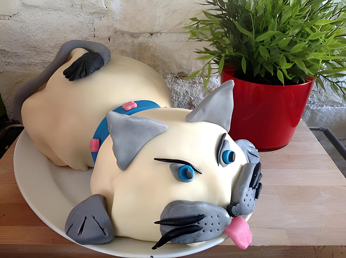 Recette De Gateau Chat 3d