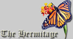 Blog Header