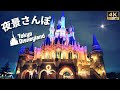 [最も共有された！ √] デ��ズニーランド 画像 高 画�� 661388-ディズニーランド pc 壁紙 高画質
