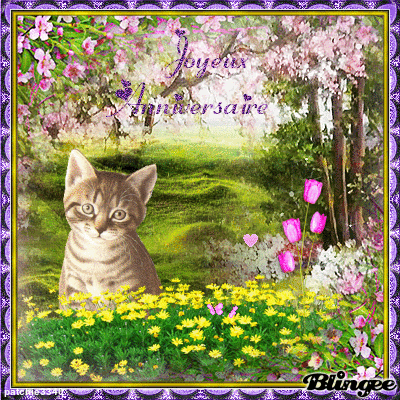 Joyeux Anniversaire Chat