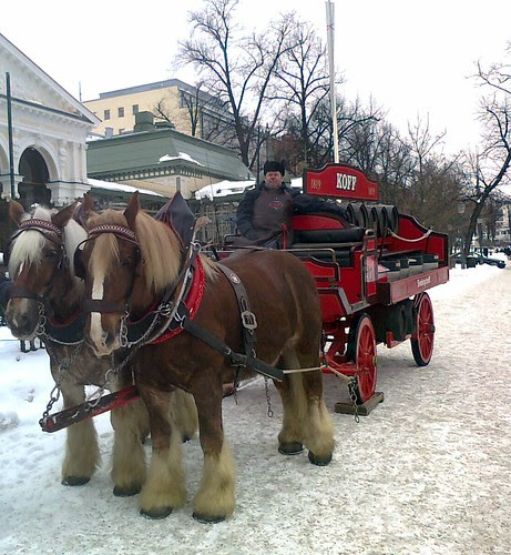 Pintti ja Thor by Anna Amnell