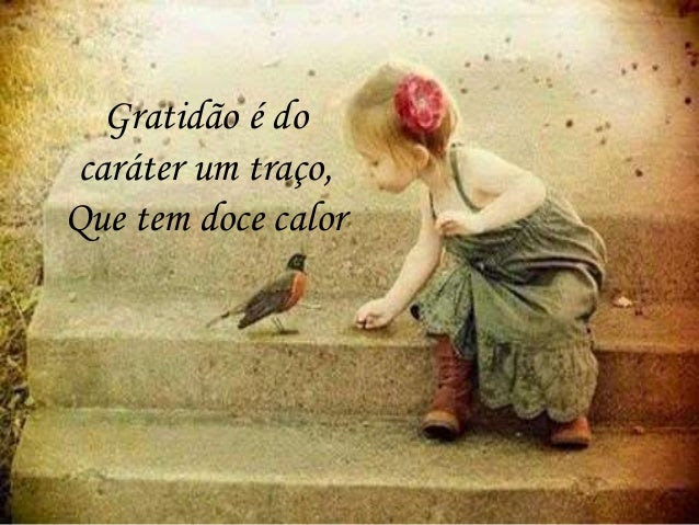 Resultado de imagem para gratidao