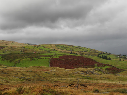 All day raining by Boris Mitendorfer Photography