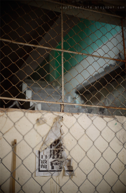 2010_0521_165619ORz