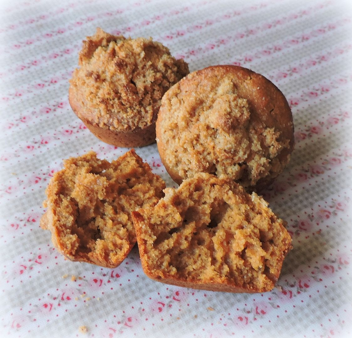 photo DSCN3453_zpsssy92eey.jpg