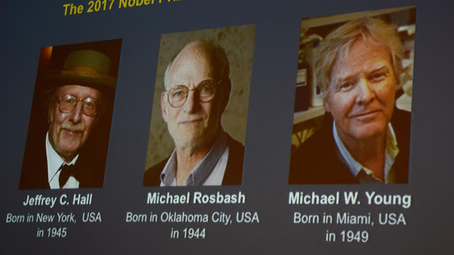 Giải Nobel Y học 2017 đã có chủ: Nghiên cứu Giải mã bí ẩn đồng hồ sinh học của tam tấu người Mỹ - Ảnh 2.