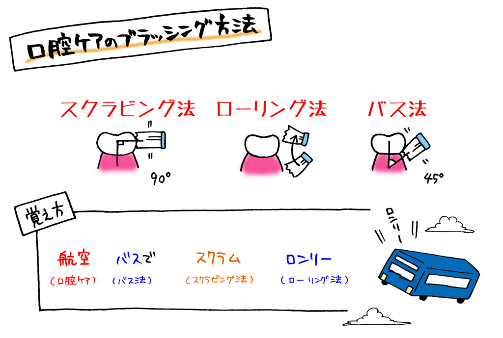 口腔ケアのブラッシング方法の名称覚え方 航空バスでスクラム ロンリー で覚えてみよう マンガで看護師国家試験にうかーる