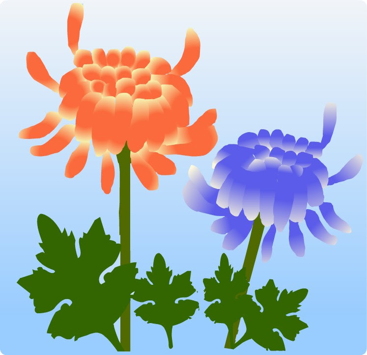 キク 菊 野菊 イラスト 無料