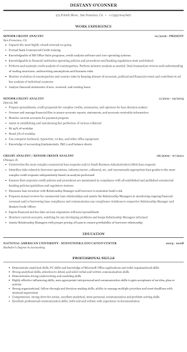 Credit Analyst Resume Sample