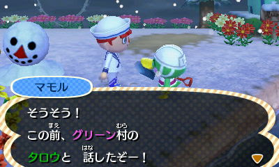住民たちの気になる噂話 ゲームニッキ とびだせ どうぶつの森