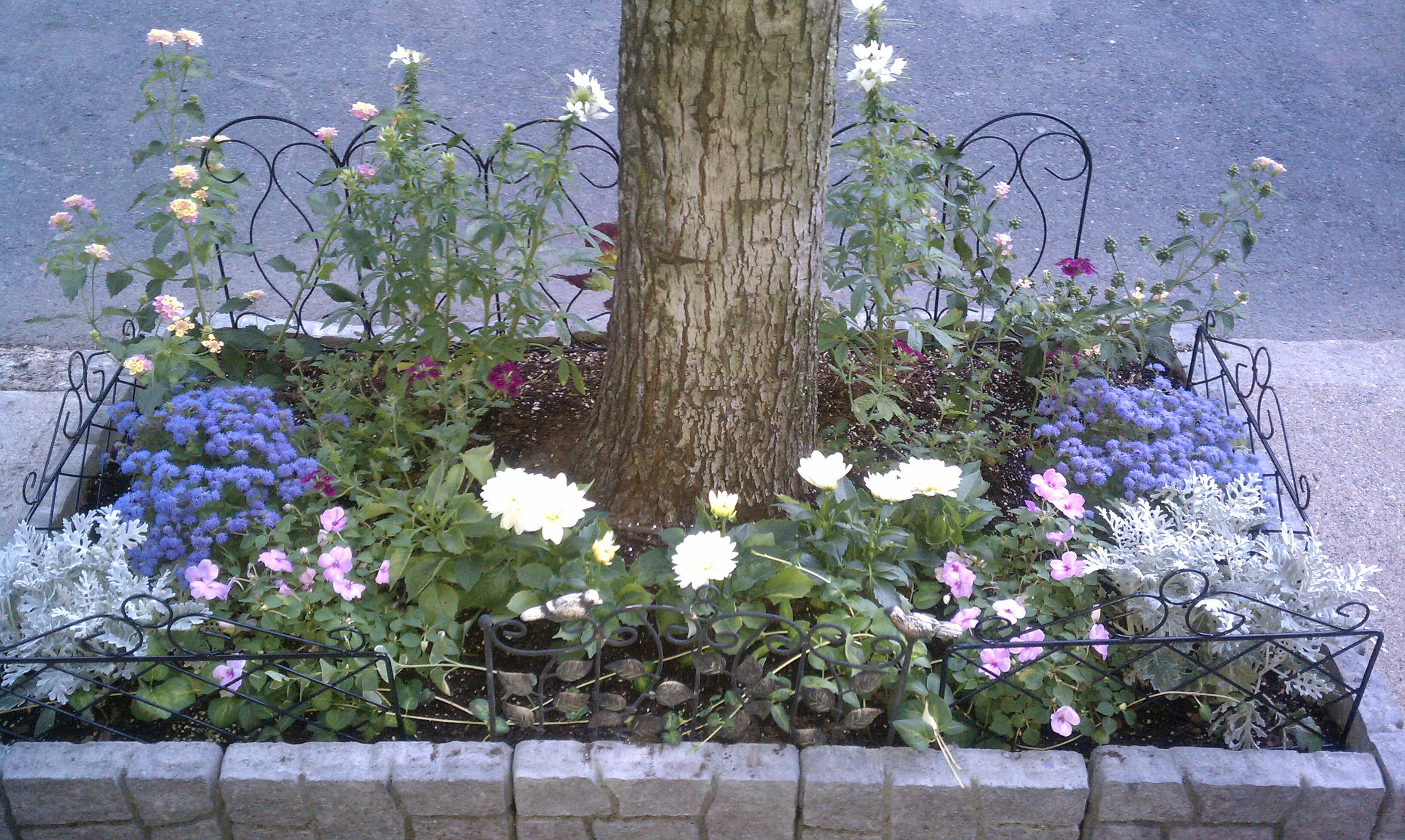 July | 2011 | City Garden Ideas