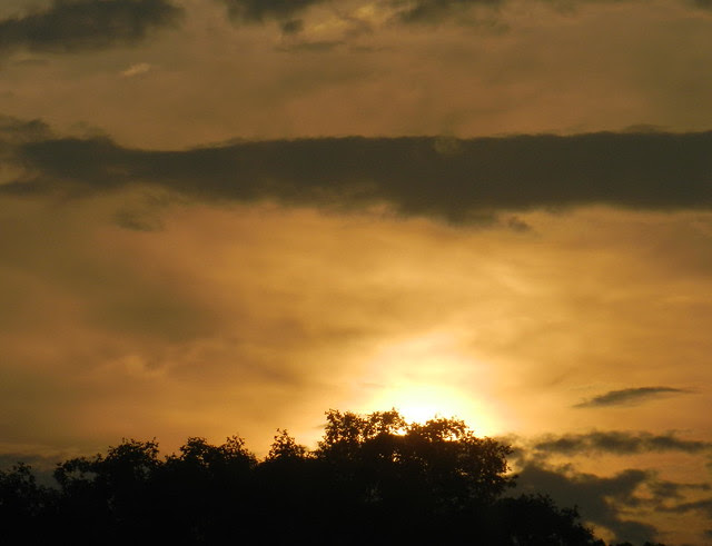 skywatchDSCN7136