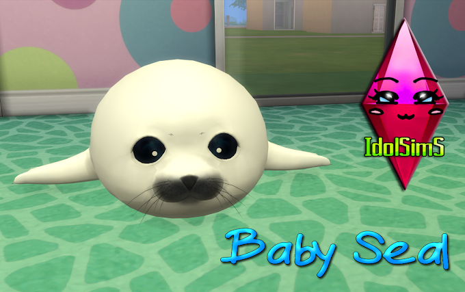 Baby Seal