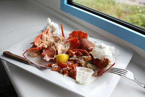 Crayfish Scraps at Nins Bin