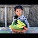 Sac Harvest Free Download Clips Mp3 and Mp4