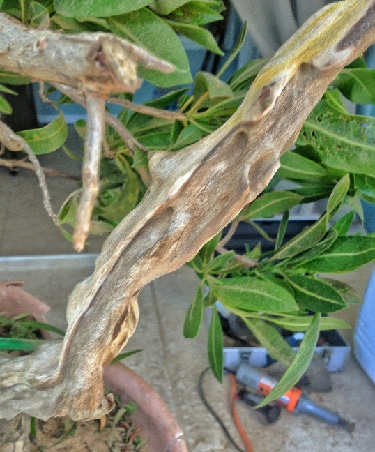 20130528-171826.jpg