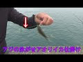 √完了しました！ 山形 エ���ング 春 116087-山形 エギング 春
