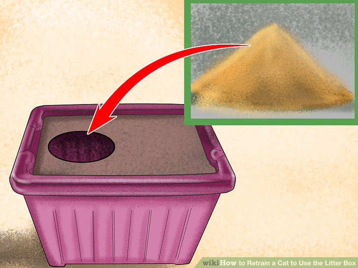 Retrain a Cat to Use the Litter Box Step 9 Version 4.jpg
