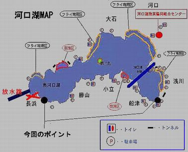 Wild Dolphin Web Fishing Logs