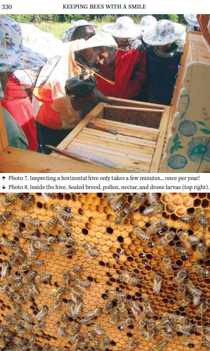 Keeping Bees With a Smile Natural Beekeeping ...