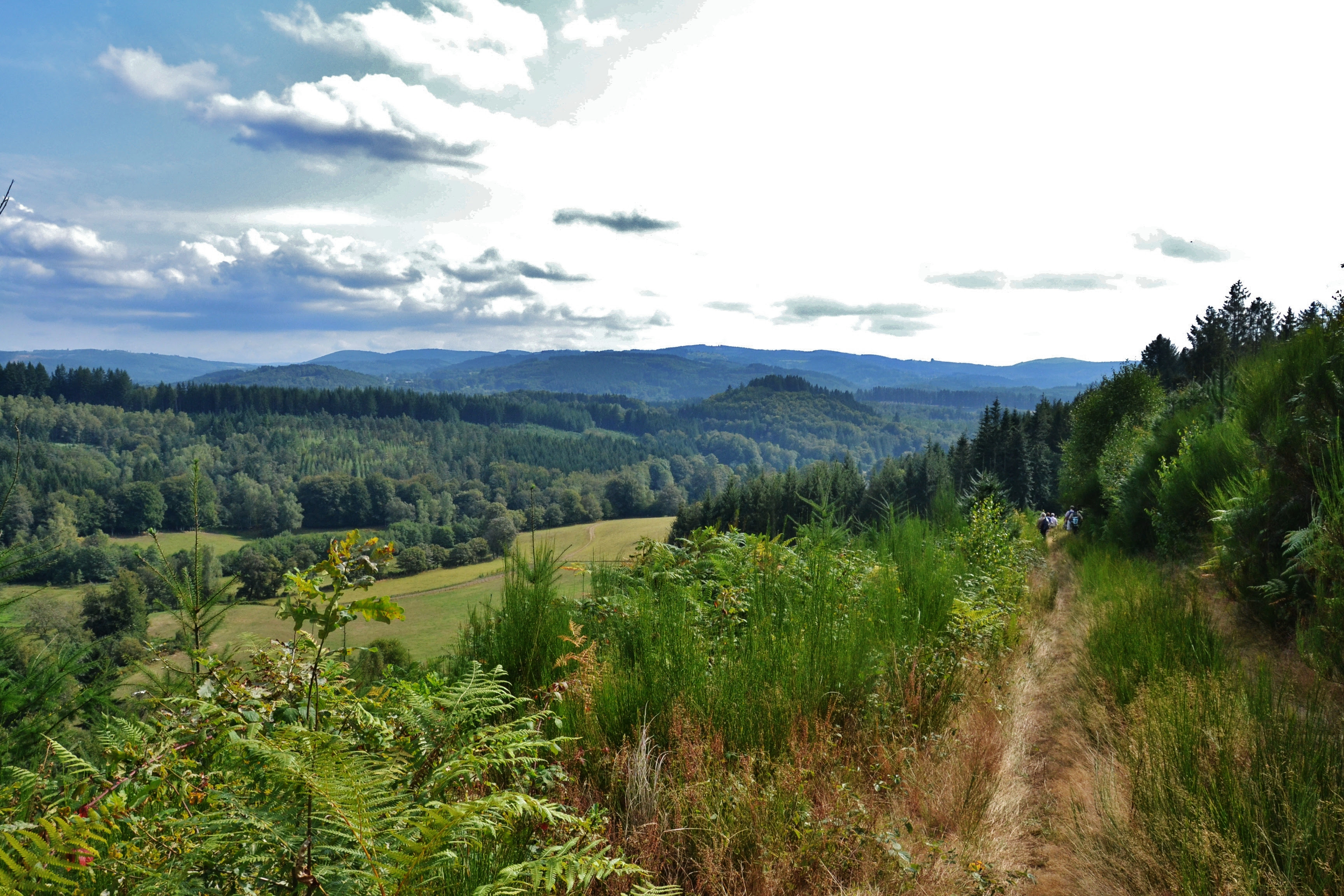 Description Paysage de la haute vallÃ©e de la Vienne.JPG