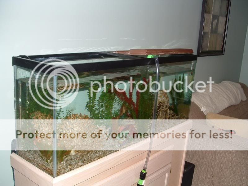 Click the image to open in full size. Click the image to open in full size.