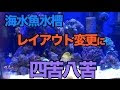 [新しいコレクション] 海水魚 水槽 立ち上げ ライブロック 278280-海水魚 水槽 立ち上げ ライブロック