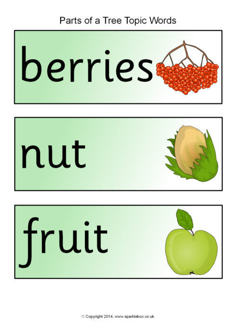Parts of a Tree Topic Word Cards (SB10267) - SparkleBox