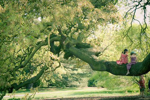 Kew Gardens