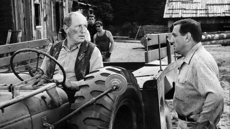 Les grandes gueules french 1965