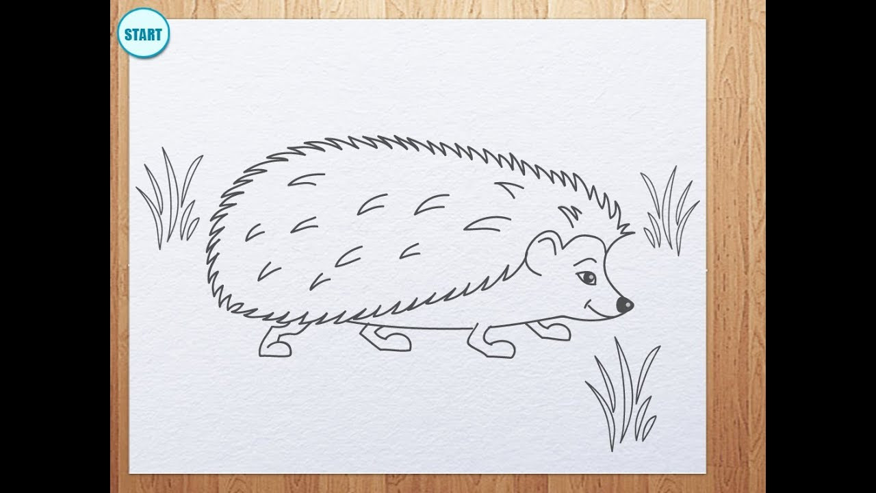 How to draw a hedgehog - YouTube