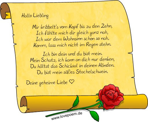 sprüche geburtstag gästebuch