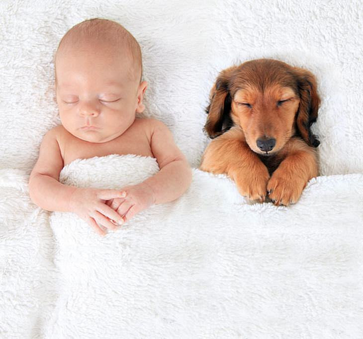 crianças e cachorros fofos na cama tudoporemail