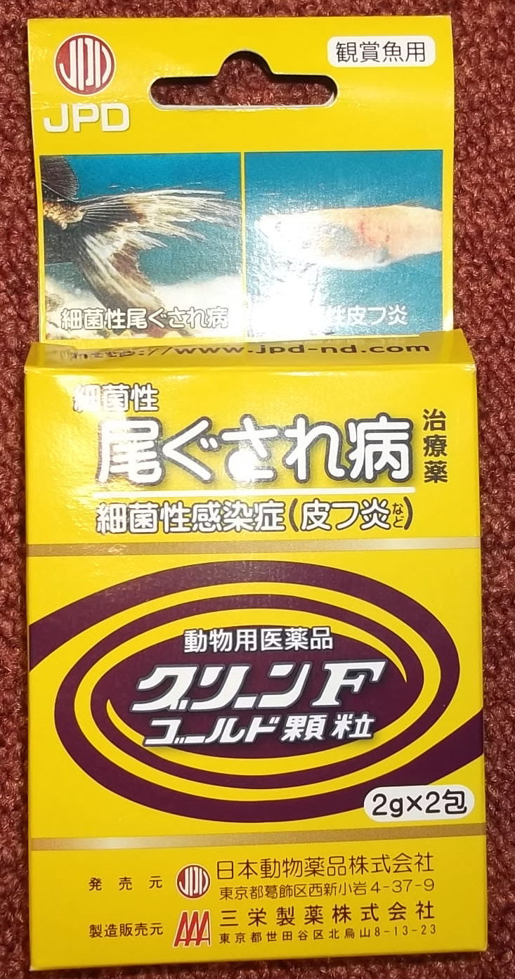 ワキンとコメット愛好会