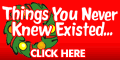 ThingsYouNeverKnewExisted.com