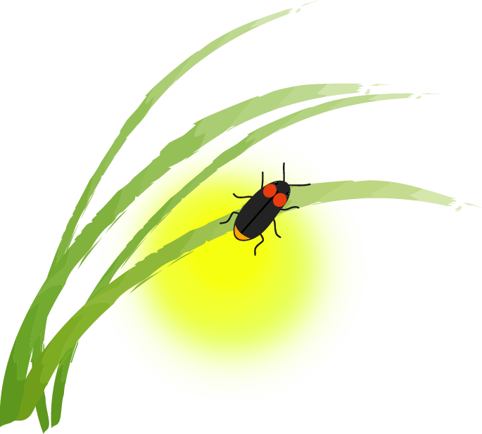 すべての動物の画像 50 蛍 イラスト
