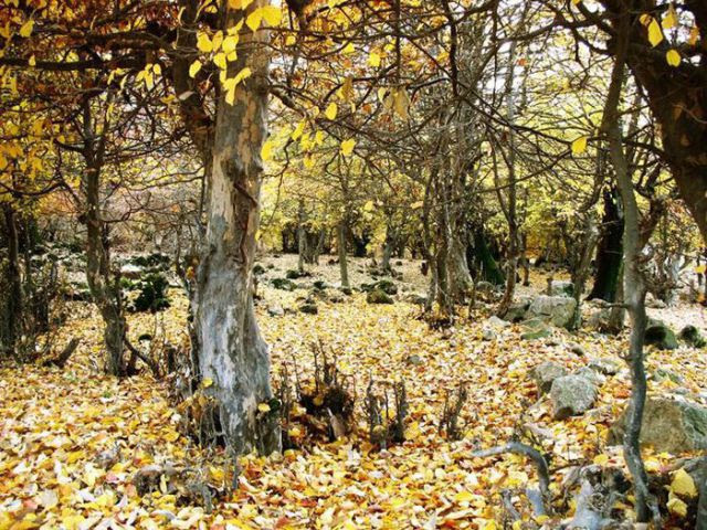 Gorgeous Iranian Nature Photos Gorgeous Iranian Nature Photos