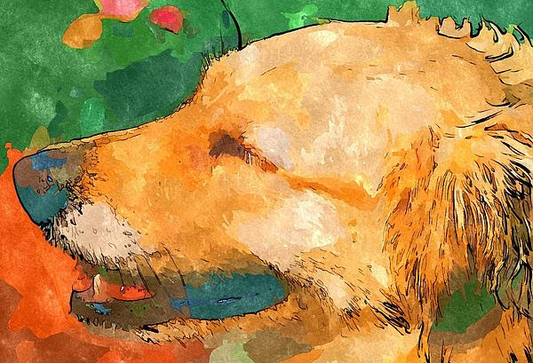 golden retriever mixed. Golden Retriever Mixed Media - Golden Retriever Fine Art Print