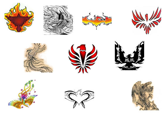 DragonPhoenix tattooCommission
